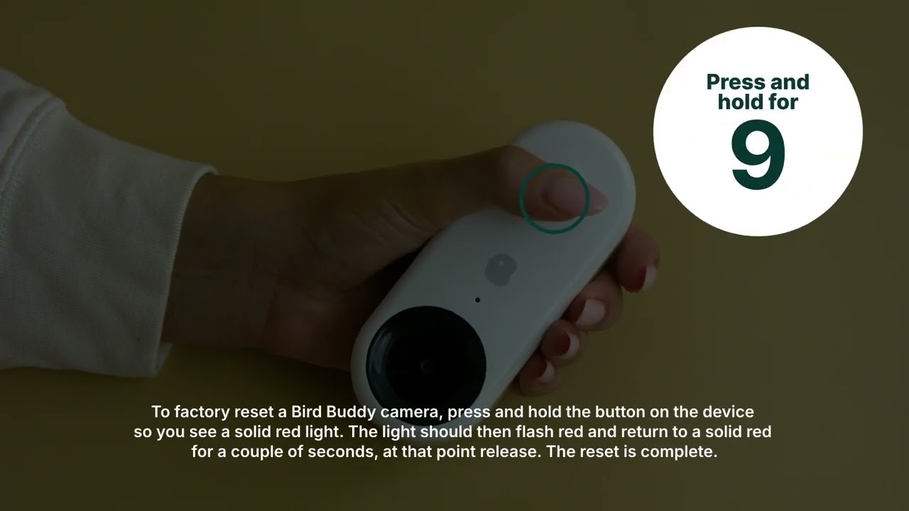 How Does the Bird Buddy Camera Work: Ultimate Guide to Birdwatching Tech