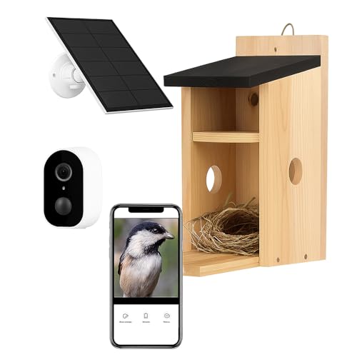 Wireless Bird Box Camera With Night Vision: Ultimate Guide for ...
